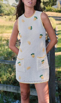 Saylor Wynn Mesh Crochet Mini Dress