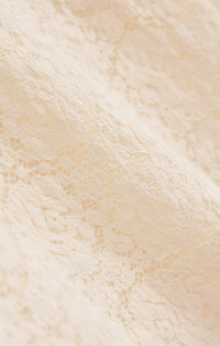 Z Supply Aurora Lace Top