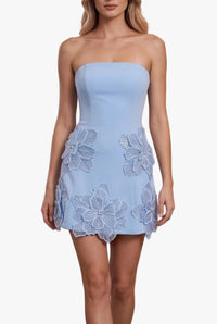 Farrah Strapless Mini Dress in Blue