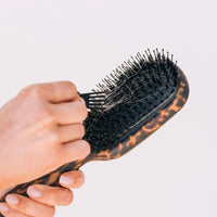 TELETIES Boar Brush in Tortoise
