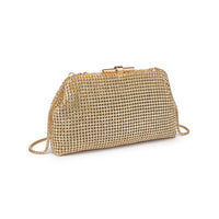 Delfina Evening Bag in Gold