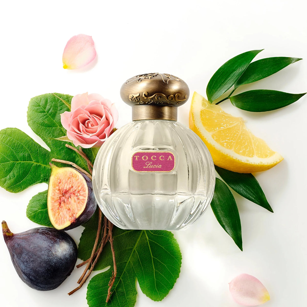 TOCCA Lucia Perfume 1.7 fl oz
